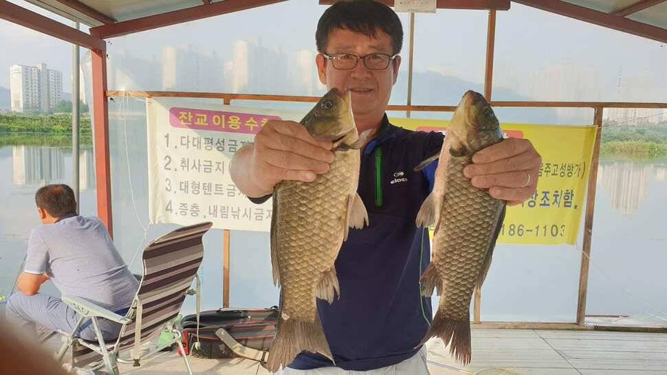 아산 명품 월랑낚시터 8월 세번재 조황이야기입니다 (유료터정보 - 유료터점주조황)