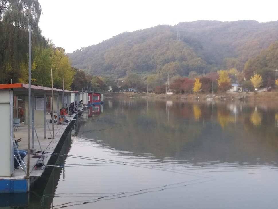 붕어낚시 양평 수곡낚시터 어제조황도 고르게 잘 나와주었습니다 (유료터정보 - 유료터점주조황)