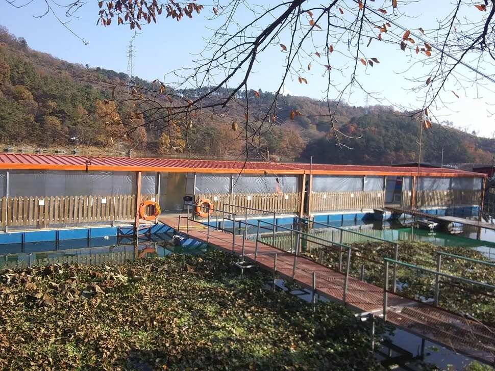 양평 수곡낚시터 자연산 4짜붕어 포함 대량 방류 및 노지 잔교 천막설치 완료하였습니다 (유료터정보 - 유료터점주조황)