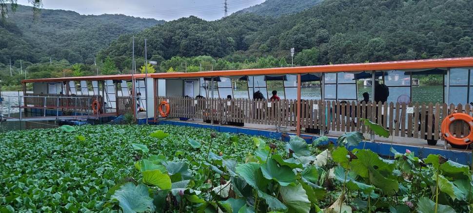 양평 수곡낚시터 9월 둘째주 주말 조황 및 붕어 방류 안내 (유료터정보 - 유료터점주조황)