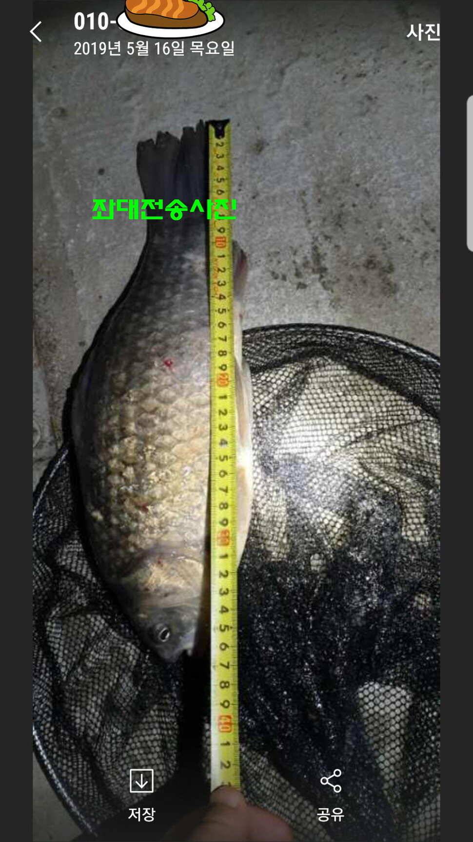 신원낚시터 토종대물 소식입니다 (유료터정보 - 유료터점주조황)