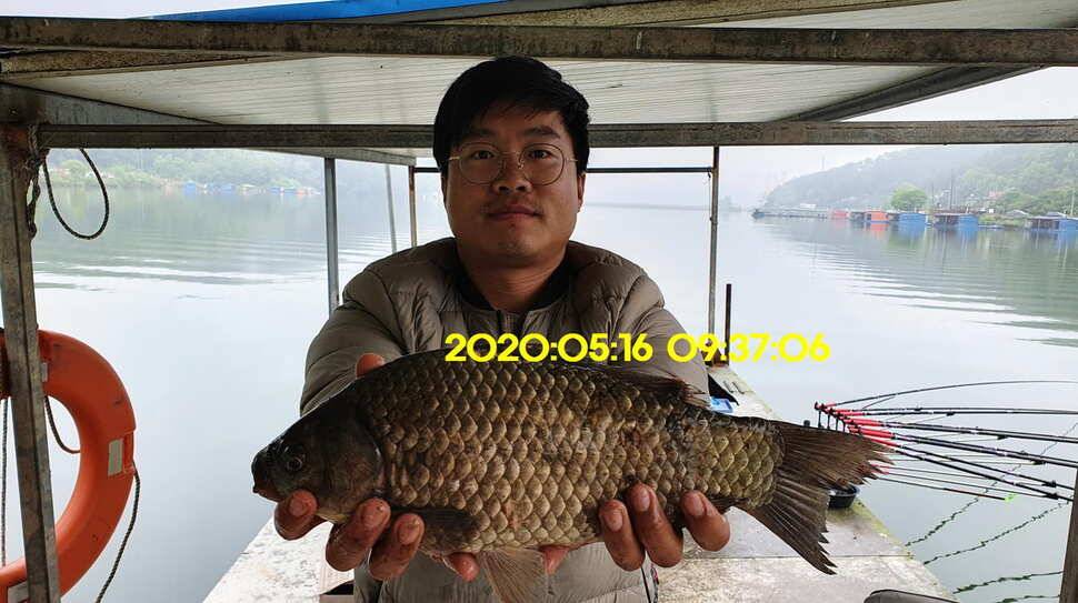 신원낚시터 6월2일토종대물 445짜리와 덩어리들 사진입니다 (유료터정보 - 유료터점주조황)
