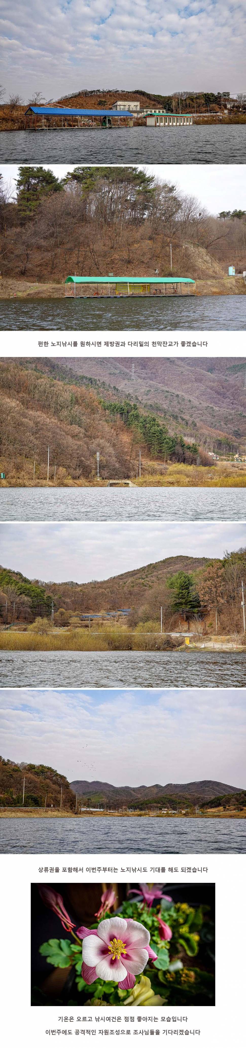 안성 두메낚시터 3월 19일 조황정보 (유료터정보 - 유료터점주조황)