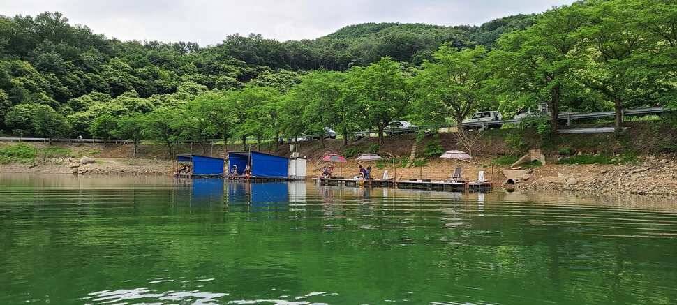 공주 고성낚시터 입니다 (유료터정보 - 유료터점주조황)