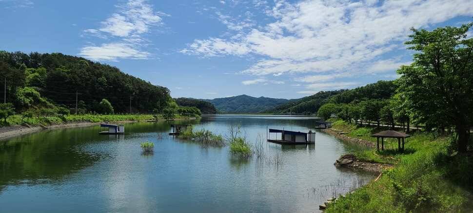 공주 고성낚시터 입니다 (유료터정보 - 유료터점주조황)