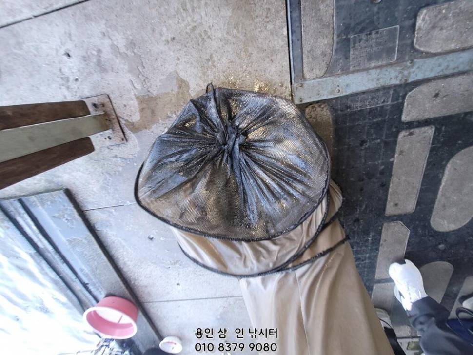 가깝고 물 좋고 경치 좋은 곳용인삼인낚시터 (유료터정보 - 유료터점주조황)