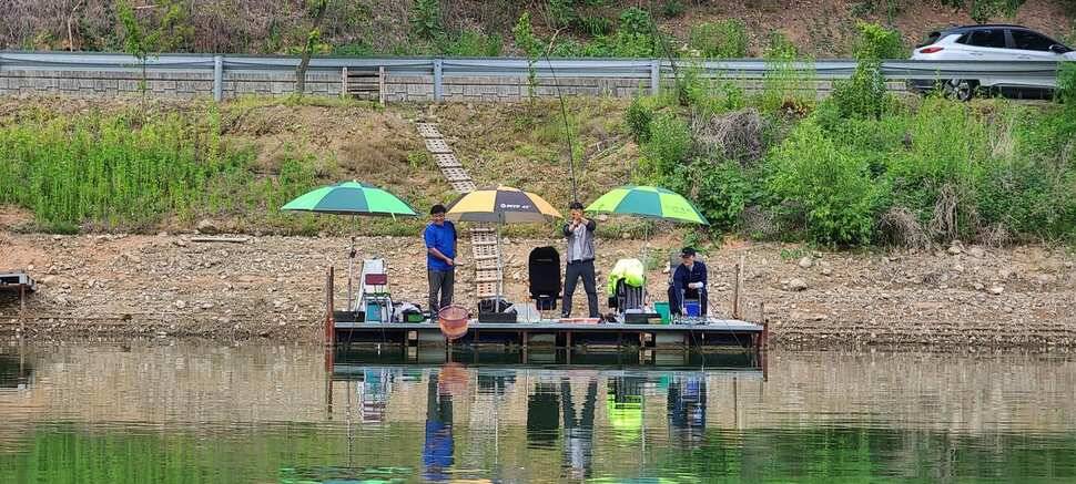 공주 고성낚시터 입니다 (유료터정보 - 유료터점주조황)