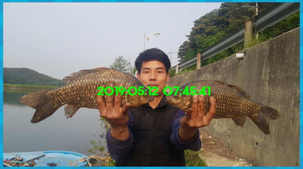 신원낚시터 토종대물 4짜 소식 식상허쥬 사진만 올립니다 (유료터정보 - 유료터점주조황)