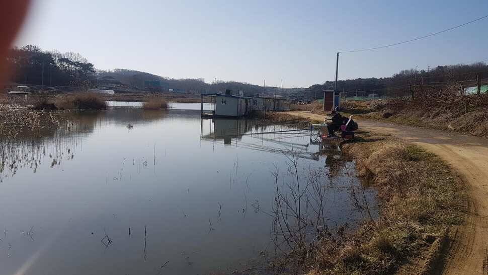가교리 낚시터 3월 16일 조황입니다 (유료터정보 - 유료터점주조황)