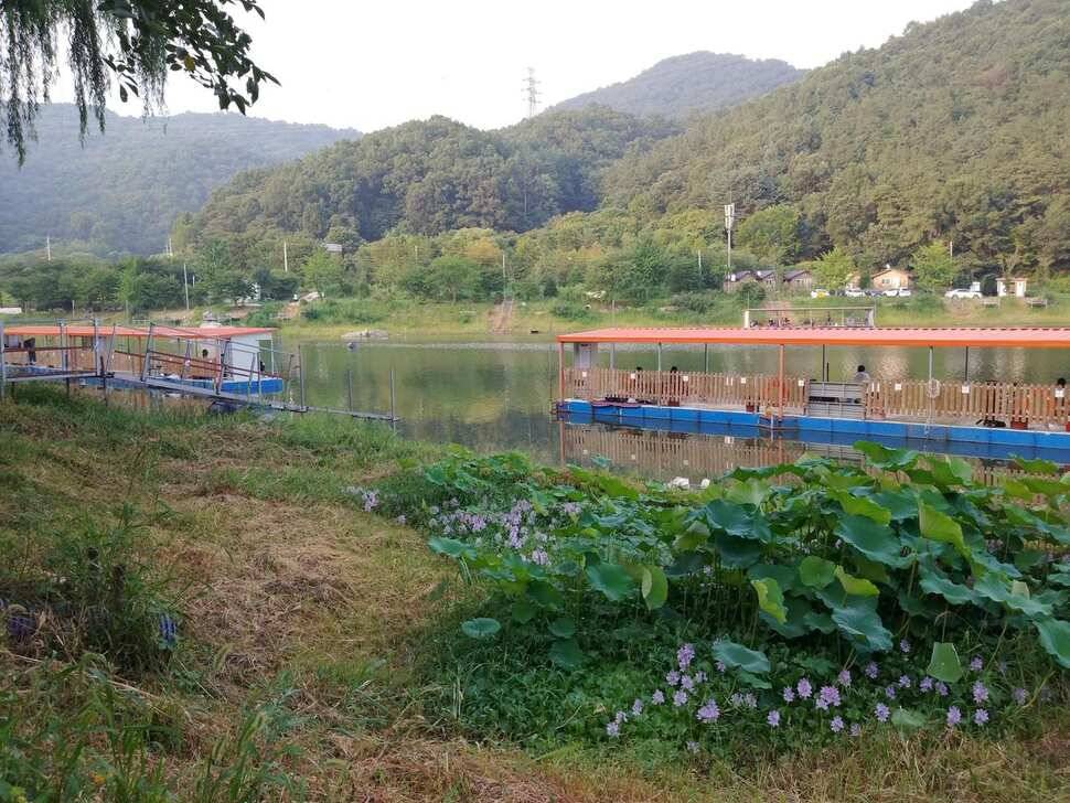 양평 수곡낚시터 주중 붕어조황 오늘도 고르고 꾸준한 조황이 이어지네요 오늘 붕어방류 마쳤습니다 (유료터정보 - 유료터점주조황)