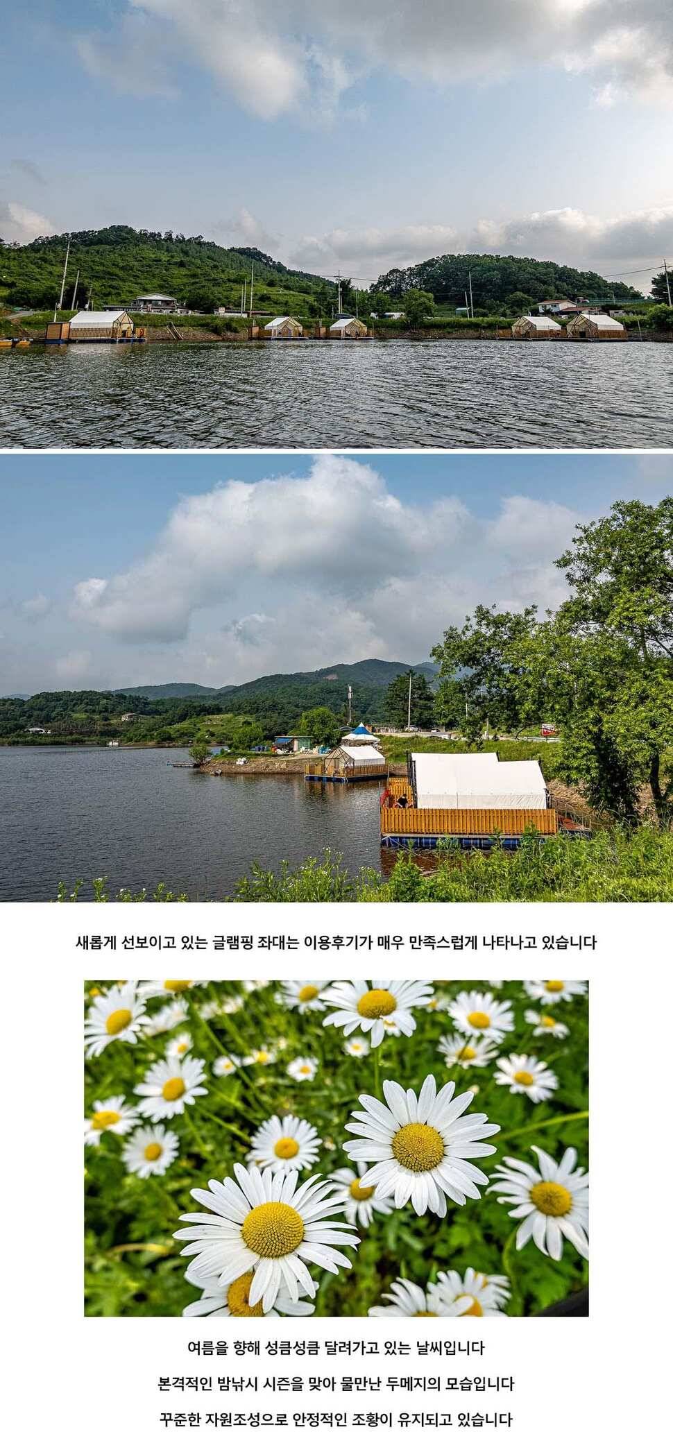 안성 두메낚시터 6월 5일 조황정보 (유료터정보 - 유료터점주조황)