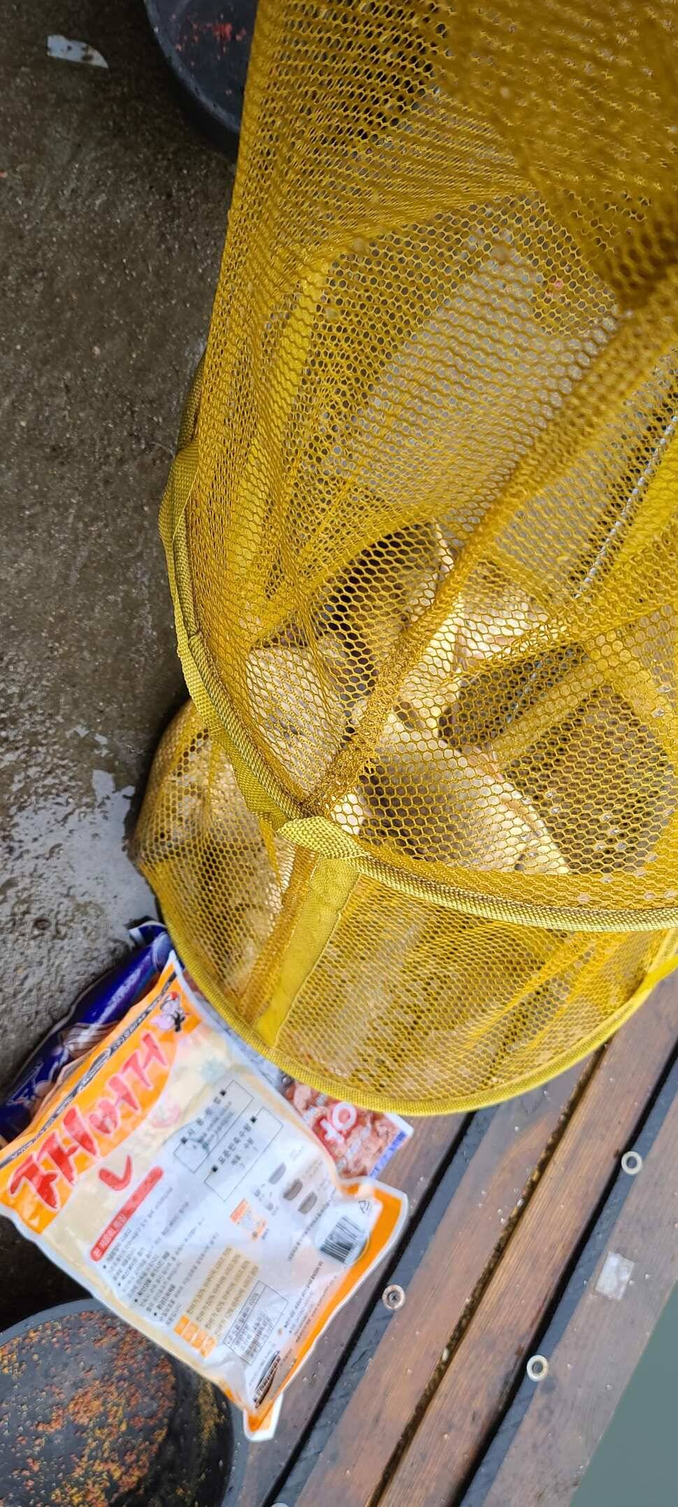 수곡지 양평 수곡낚시터 주말 조황 및 방류소식 안내드립니다 (유료터정보 - 유료터점주조황)