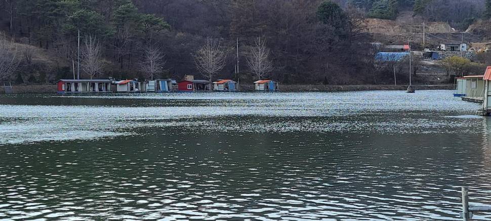 힐링 양평 수곡낚시터 주초 조황 좀더 좋아집니다 (유료터정보 - 유료터점주조황)