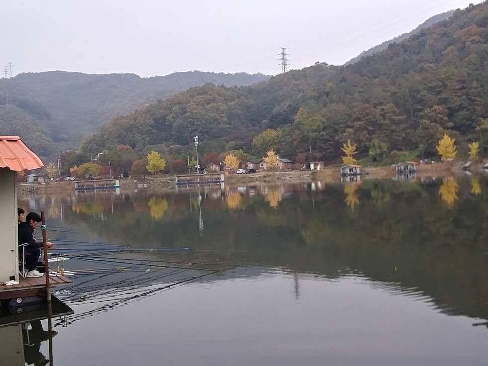 양평 수곡낚시터 자연산 토종붕어 방류 및 주말 조황 안내 (유료터정보 - 유료터점주조황)