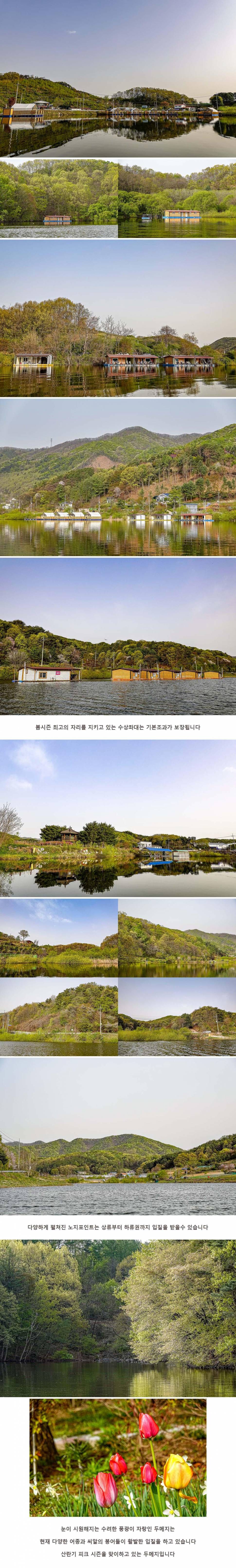 안성 두메낚시터 4월 17일 조황정보 (유료터정보 - 유료터점주조황)