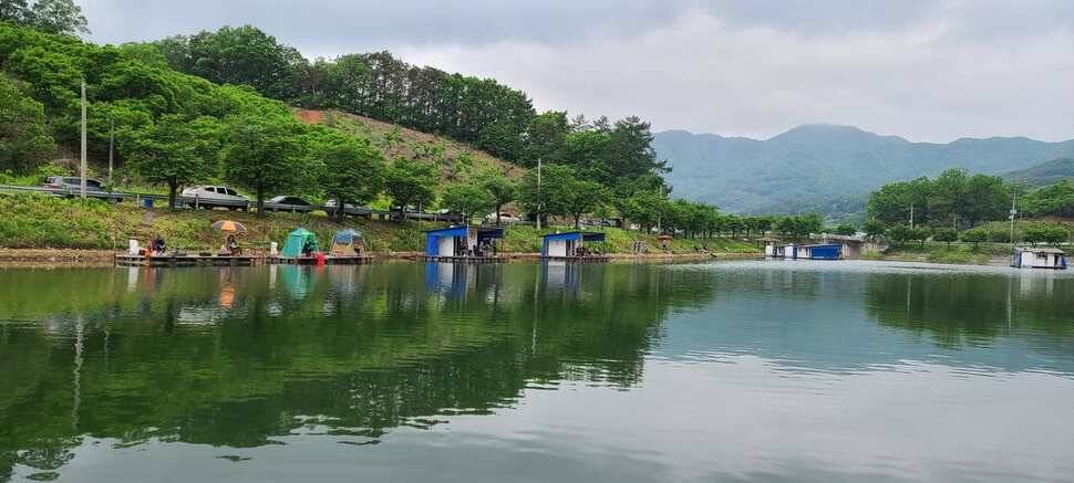 공주 고성낚시터 입니다 (유료터정보 - 유료터점주조황)