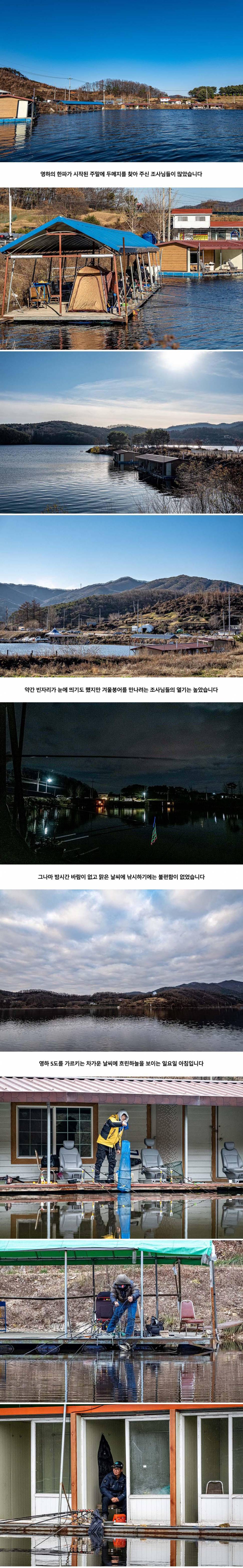 안성 두메낚시터 11월 29일 조황정보 (유료터정보 - 유료터점주조황)