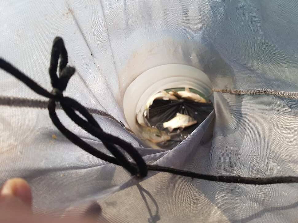 수요일 전좌대만석 입니다 넘잘나오네요 불빛도 업구 넘조용하고 분위기 최고 랍니다 (유료터정보 - 유료터점주조황)