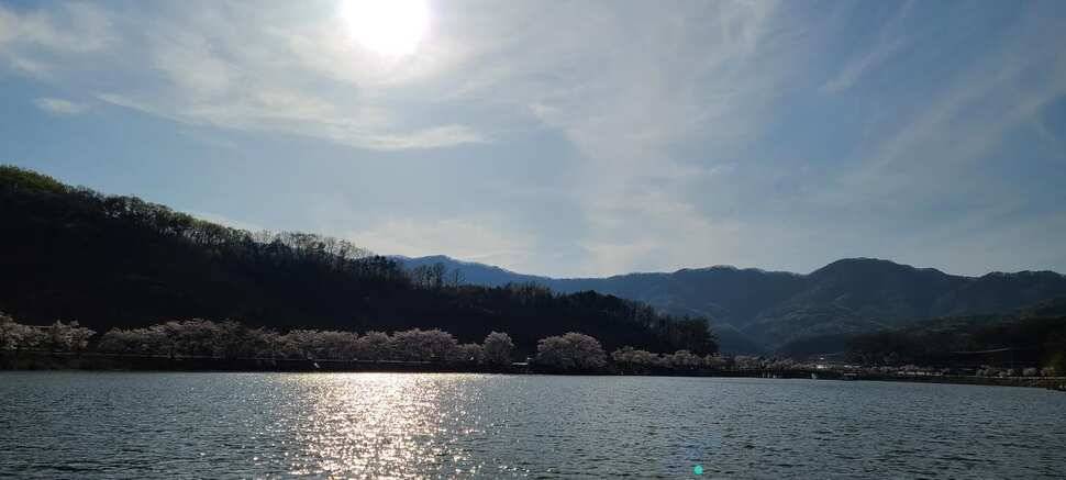공주 고성낚시터 입니다 (유료터정보 - 유료터점주조황)