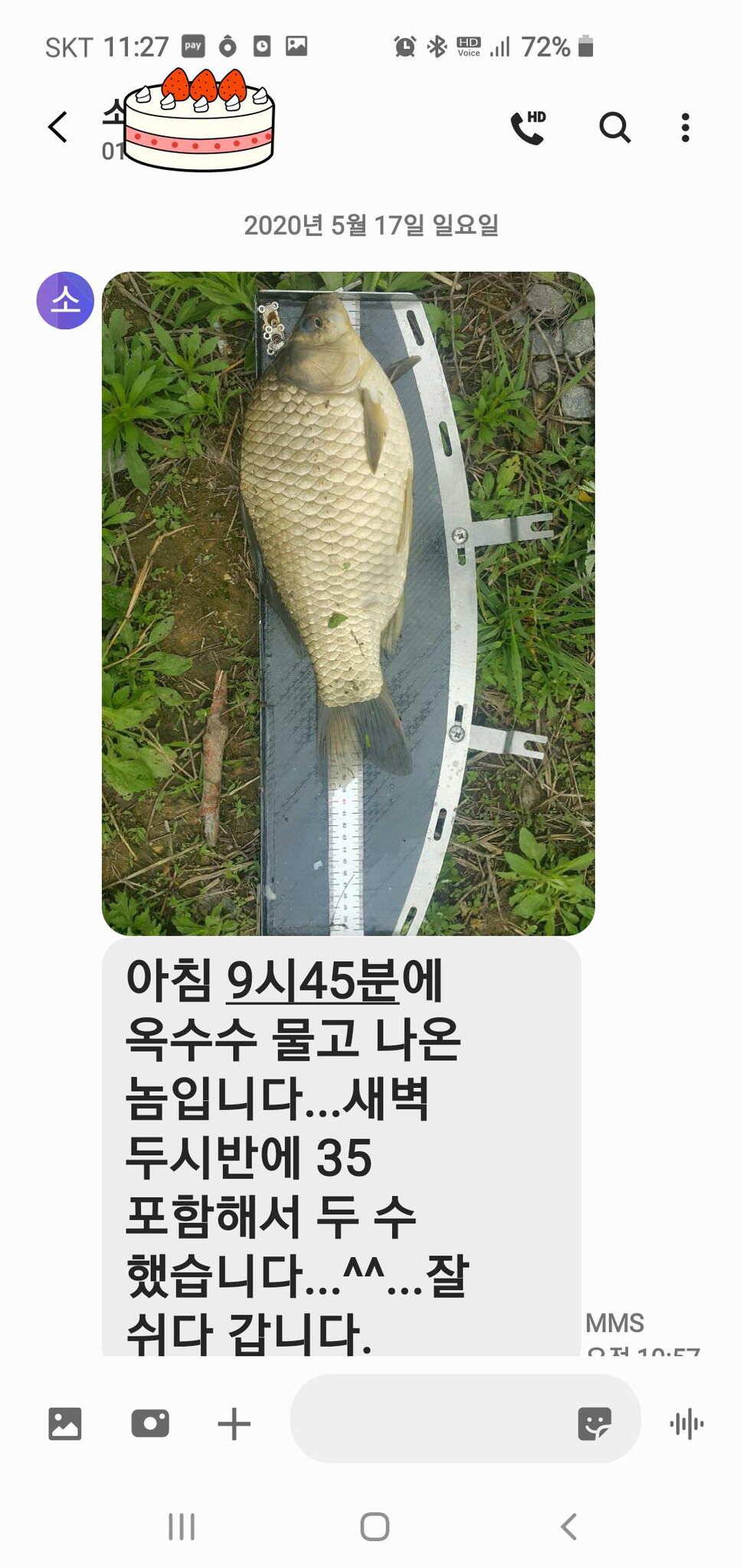 신원낚시터 6월2일토종대물 445짜리와 덩어리들 사진입니다 (유료터정보 - 유료터점주조황)