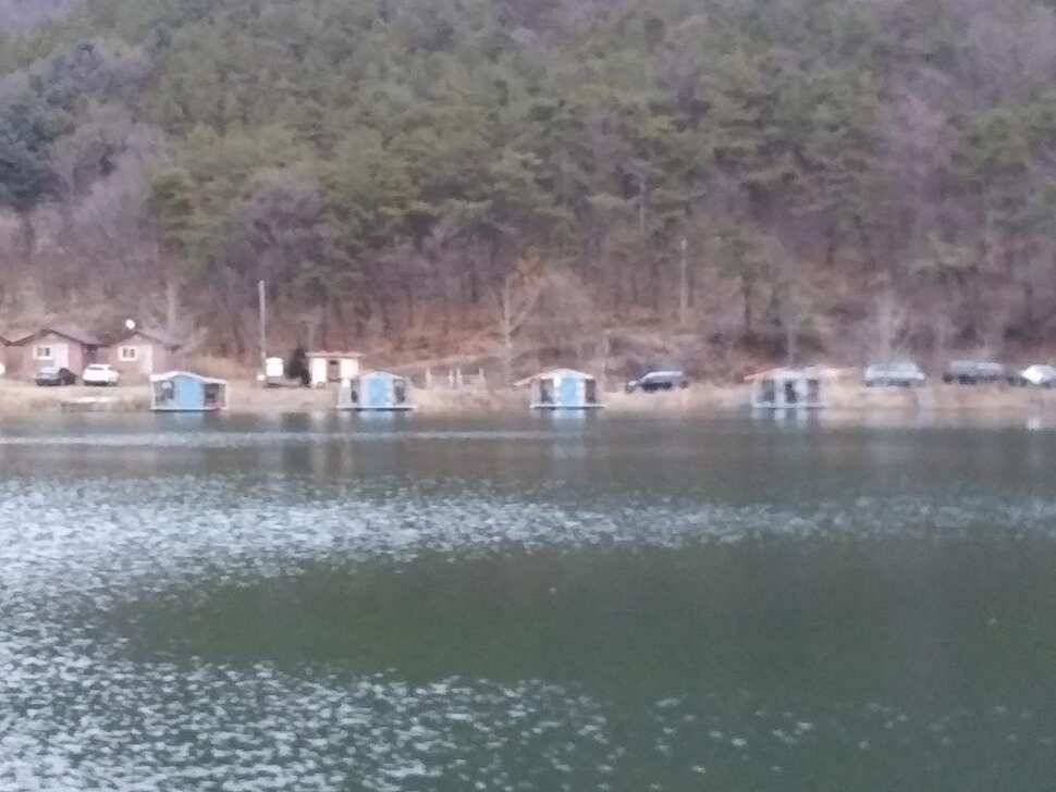 양평 힐링 수곡낚시터 연휴 조황 및 붕어 방류 안내 (유료터정보 - 유료터점주조황)