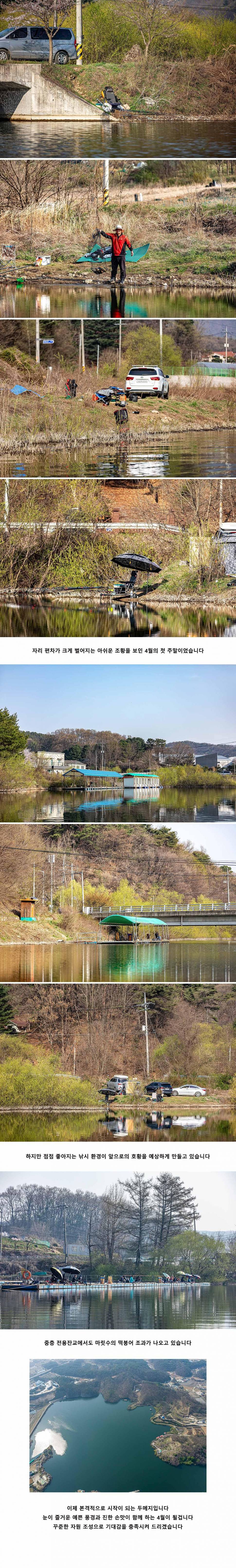 안성 두메낚시터 4월 7일 조황정보 (유료터정보 - 유료터점주조황)