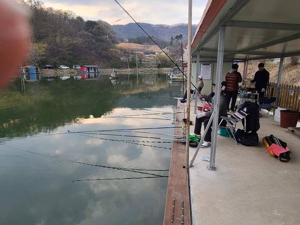 힐링 양평 수곡낚시터 주말조황 및 방류안내 (유료터정보 - 유료터점주조황)