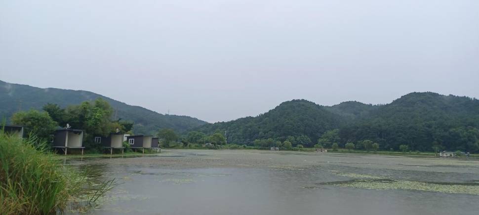 어우실지 나오면 월척에 때깔좋은어우실 입니다 오염이없는 저수지9 (유료터정보 - 유료터점주조황)