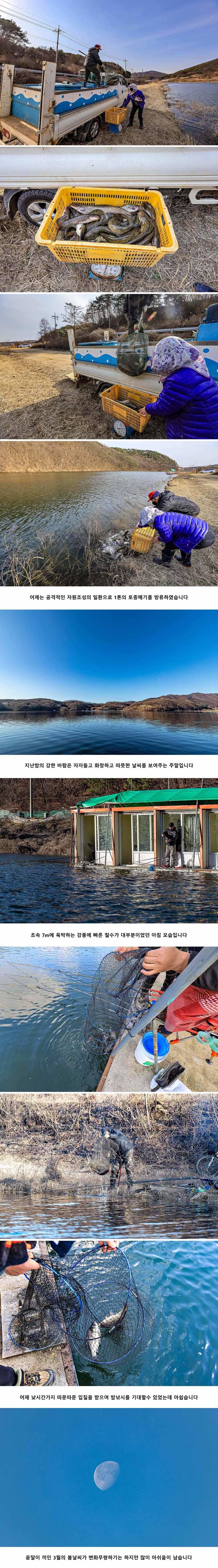 안성 두메낚시터 3월 14일 조황정보 (유료터정보 - 유료터점주조황)