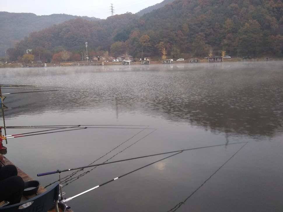수곡낚시터 주말 조황 소식 및 붕어 방류 안내드려요 (유료터정보 - 유료터점주조황)