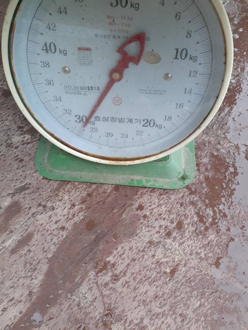 경주 동산낚시터붕어 전용 잡이터 지난주 조황 (유료터정보 - 유료터점주조황)