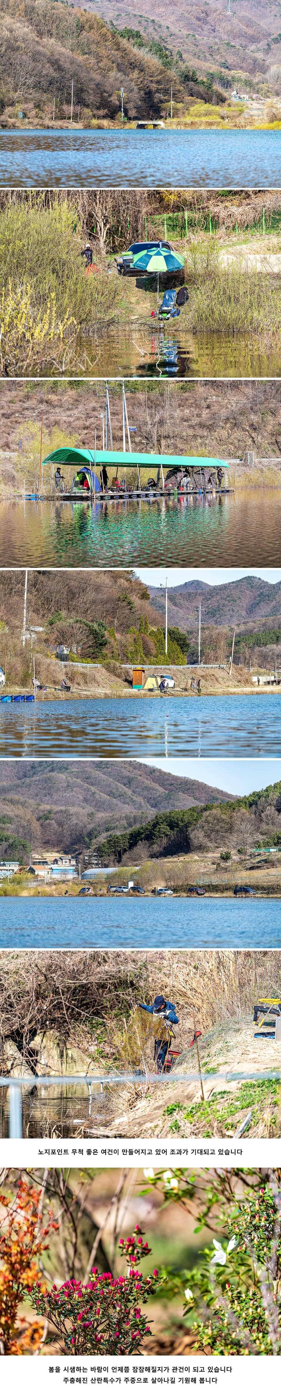안성 두메낚시터 4월 5일 조황정보 (유료터정보 - 유료터점주조황)