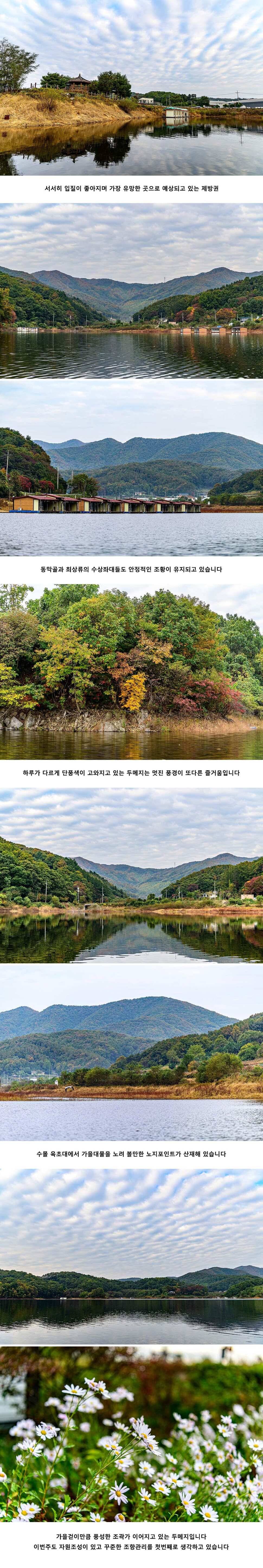 안성 두메낚시터 10월 24일 조황정보 (유료터정보 - 유료터점주조황)