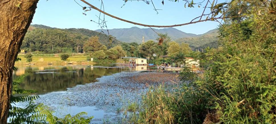 어우실지 기온이 뚝 떨어져야 될듯합니다 마릿수입니다 (유료터정보 - 유료터점주조황)