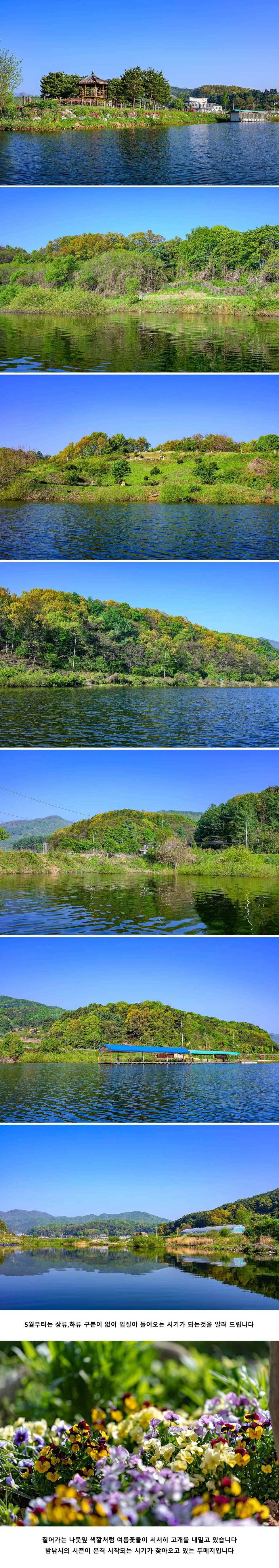 안성 두메낚시터 5월 2일 조황정보 (유료터정보 - 유료터점주조황)