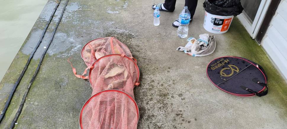 공주 고성낚시터 입니다 (유료터정보 - 유료터점주조황)
