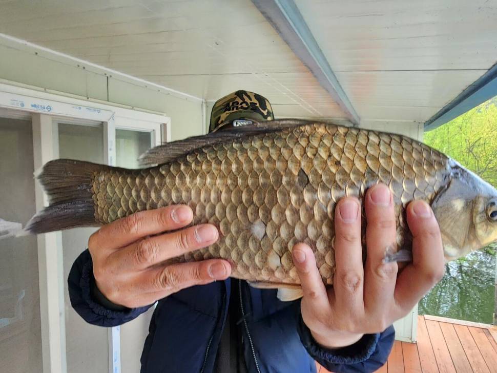 송전지 창신집 45cm 대박 조황 (유료터정보 - 유료터점주조황)