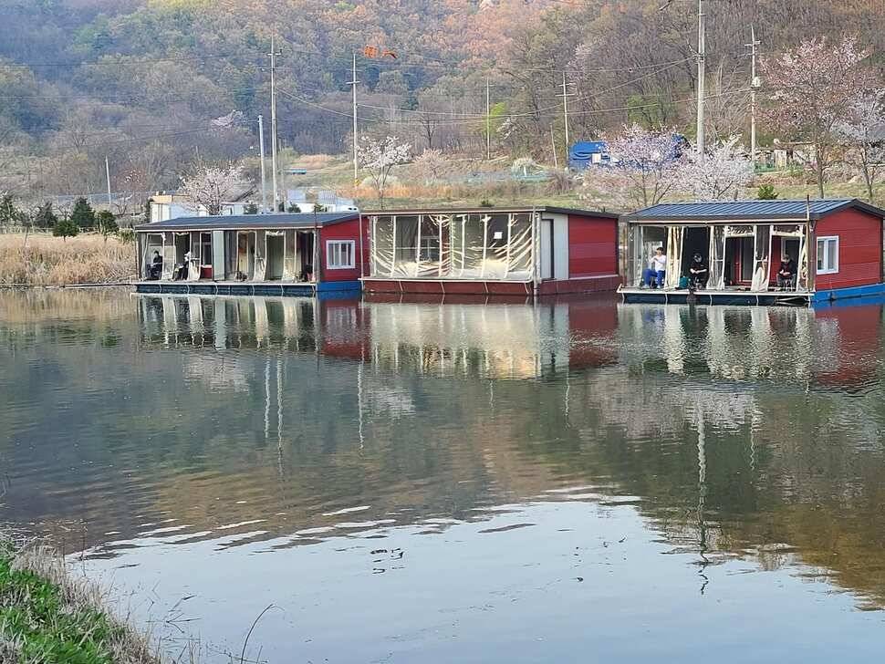 양평 수곡낚시터 주중 조황 및 금일 붕어 방류 소식 (유료터정보 - 유료터점주조황)