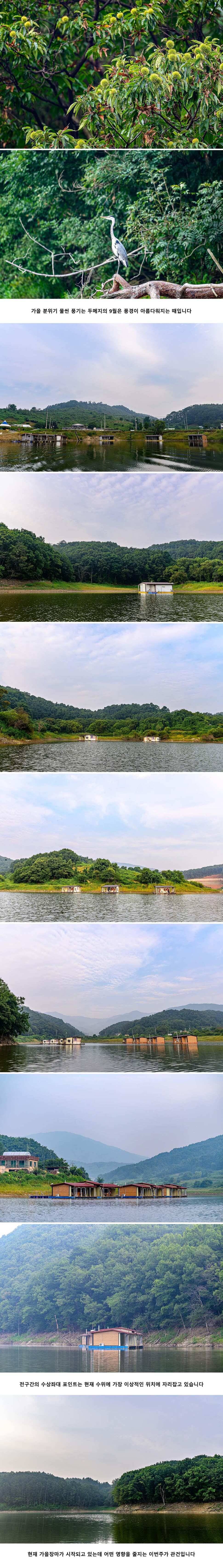 안성 두메낚시터 9월 2일 조황정보 (유료터정보 - 유료터점주조황)