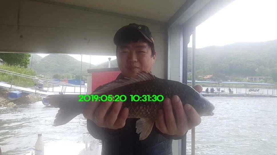 신원낚시터 토종대물 소식입니다 (유료터정보 - 유료터점주조황)