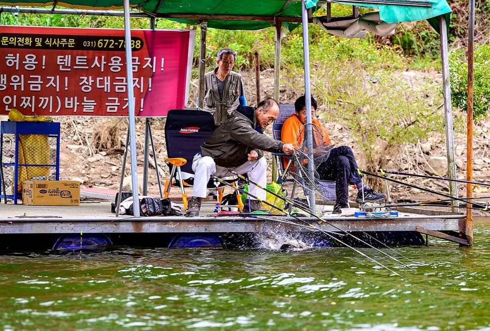 안성 두메낚시터 5월 18일 조황정보 (유료터정보 - 유료터점주조황)