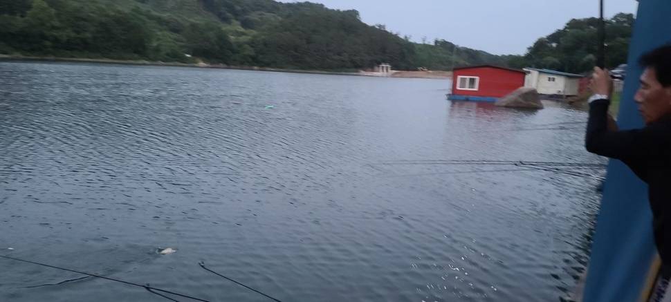 수곡지 수곡낚시터 피서낚시 주중 73 조황 및 붕어방류 안내 (유료터정보 - 유료터점주조황)