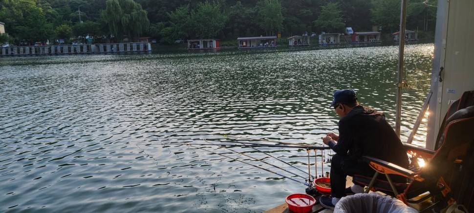 양평 힐링 수곡낚시터 6월둘째주초 조황 및 오늘 붕어 방류 안내 (유료터정보 - 유료터점주조황)