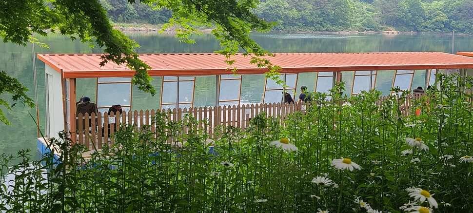 양평 수곡낚시터 6월 첫날 100수포함 고른 조황이 나와주었네요 (유료터정보 - 유료터점주조황)