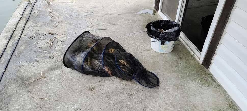 공주 고성낚시터 입니다 (유료터정보 - 유료터점주조황)