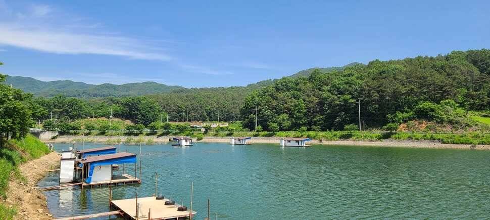 공주 고성낚시터 입니다 (유료터정보 - 유료터점주조황)
