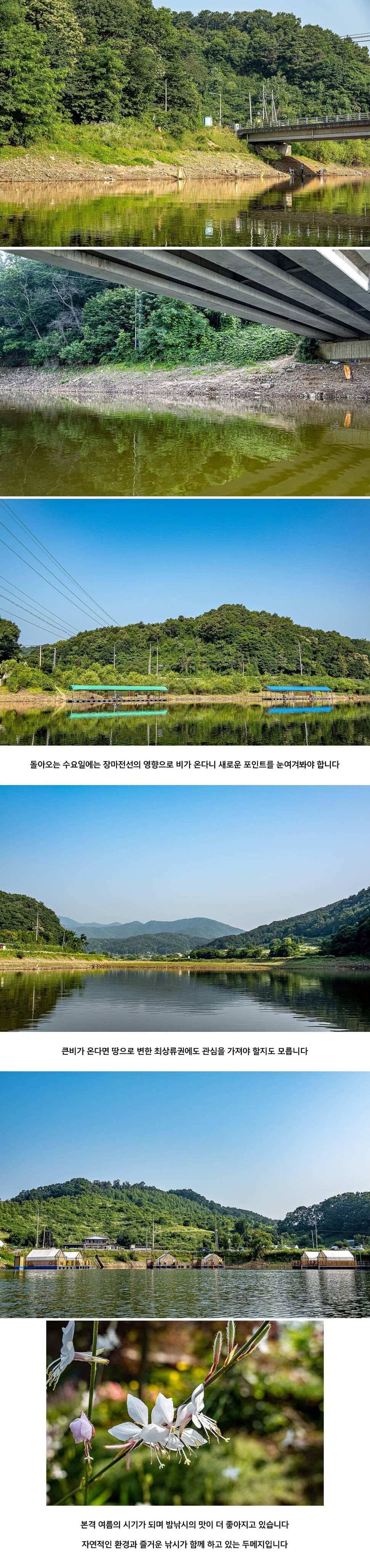 안성 두메낚시터 6월 22일 조황정보 (유료터정보 - 유료터점주조황)