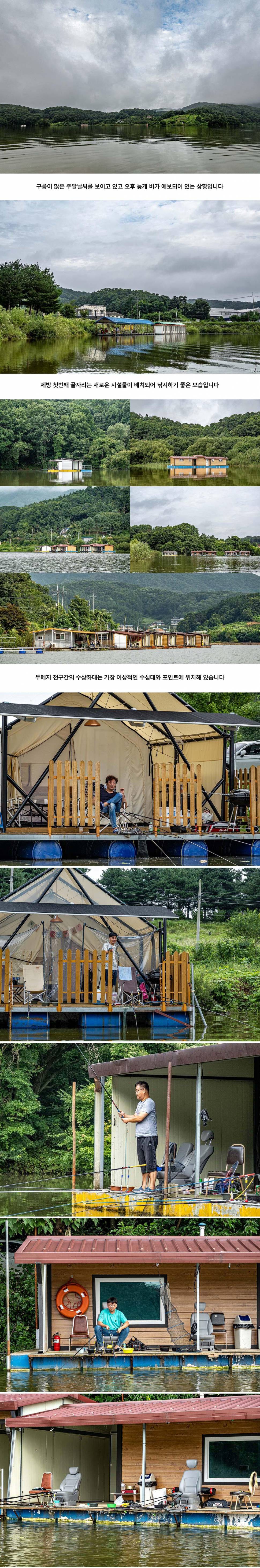 안성 두메낚시터 8월 1일 조황정보 (유료터정보 - 유료터점주조황)
