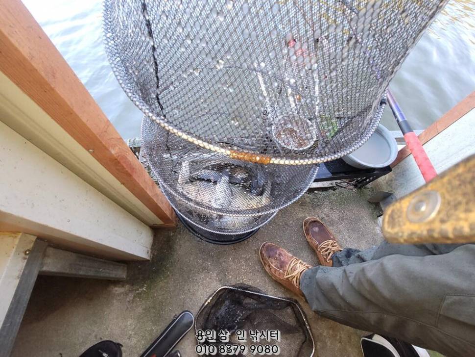 가깝고 물 좋고 경치 좋은 곳용인삼인낚시터 (유료터정보 - 유료터점주조황)
