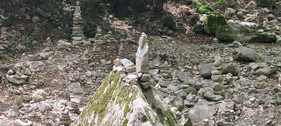 공주 고성낚시터 입니다 (유료터정보 - 유료터점주조황)